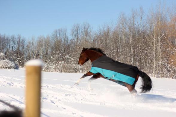 26166391_1152324971537193_8770898673502806886_n