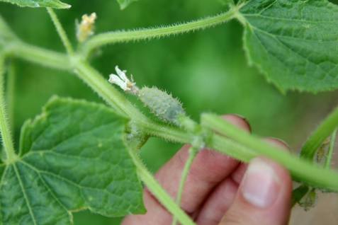 37124649_1331746186928403_1782896750554513408_n