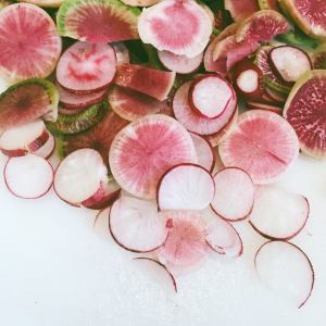 organic radishes. 5 tips for starting a garden