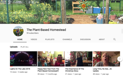 Screen Shot 2018-12-29 at 1.05.35 PM