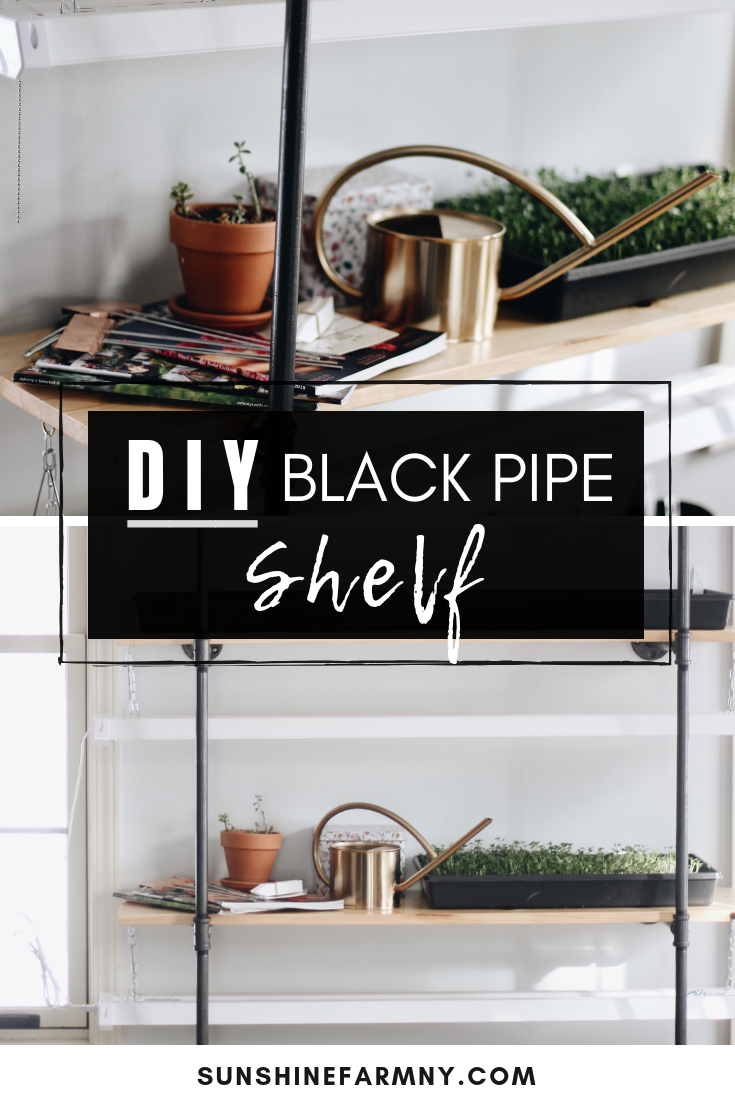 How to Build a DIY Black Pipe Shelf for Seed Starting