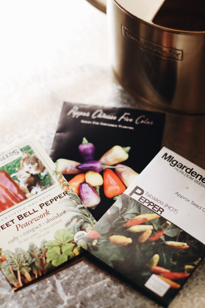 5 steps for seed starting 101