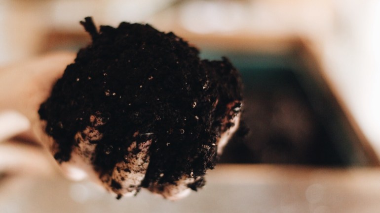 The ideal consistency of soil for seed starting