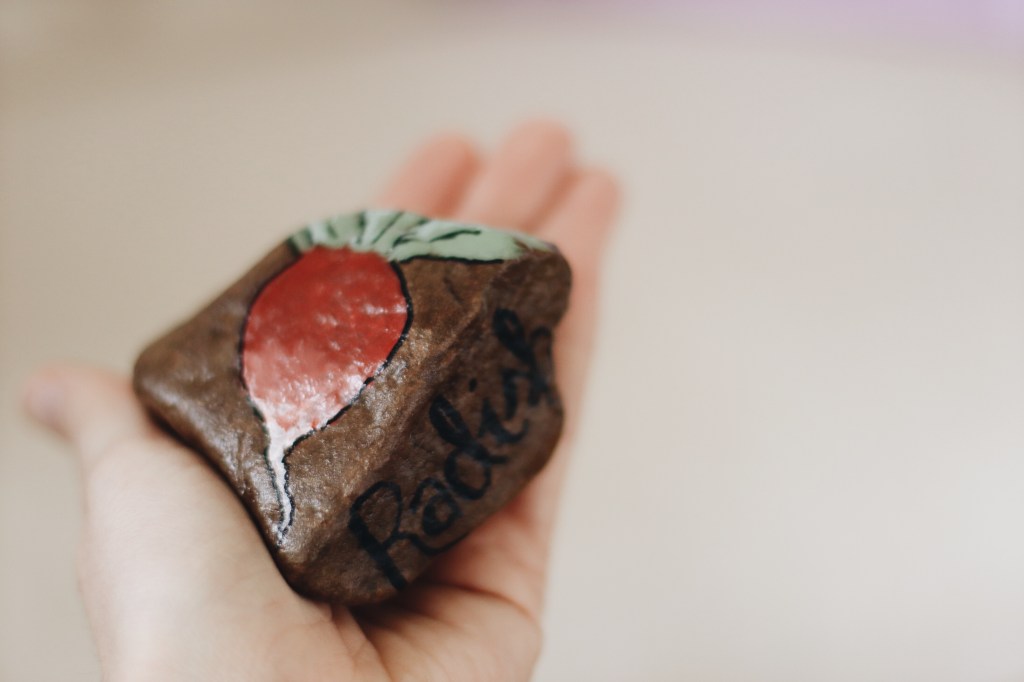 DIY painted rock garden markers