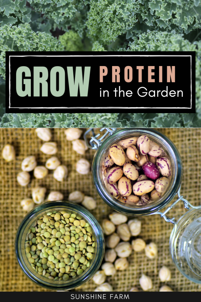 grow plant based protein in the garden