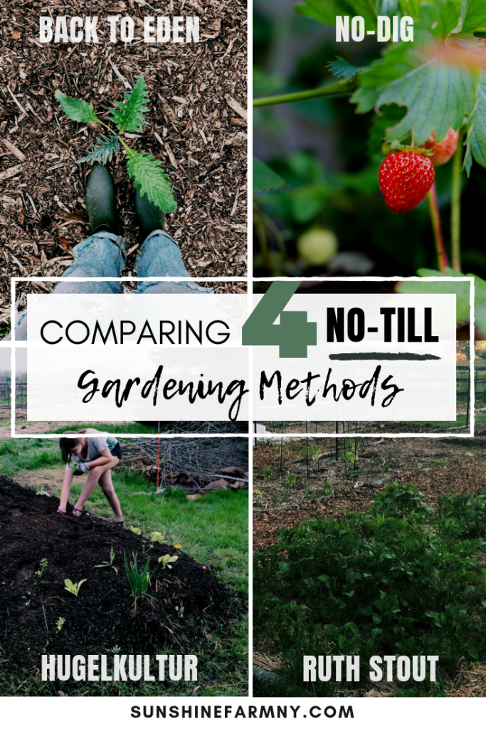 no till garden methods: back to eden, ruth stout, hugelkultur, no dig