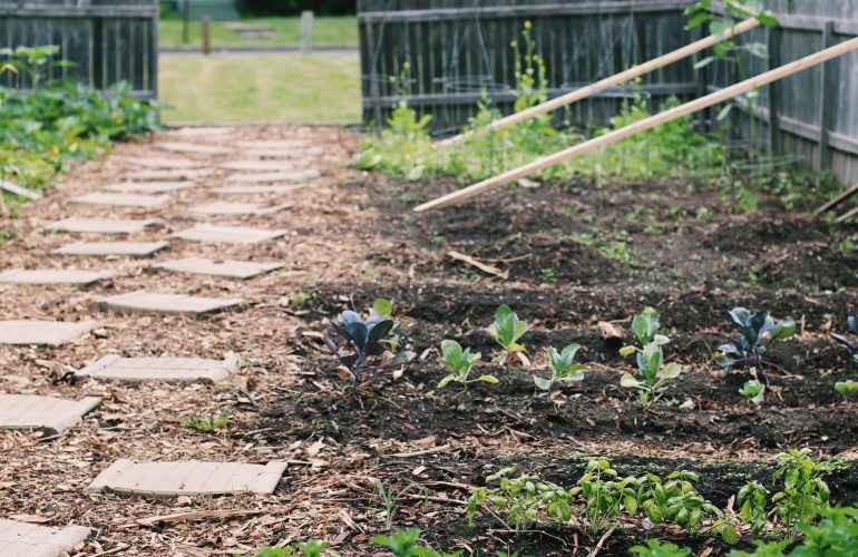 Community Garden Transformation Extreme Garden Makeover