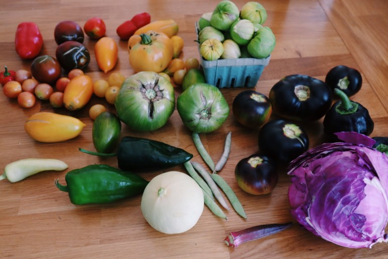 How to Start a Vegetarian or Vegan Homestead | Start a Garden