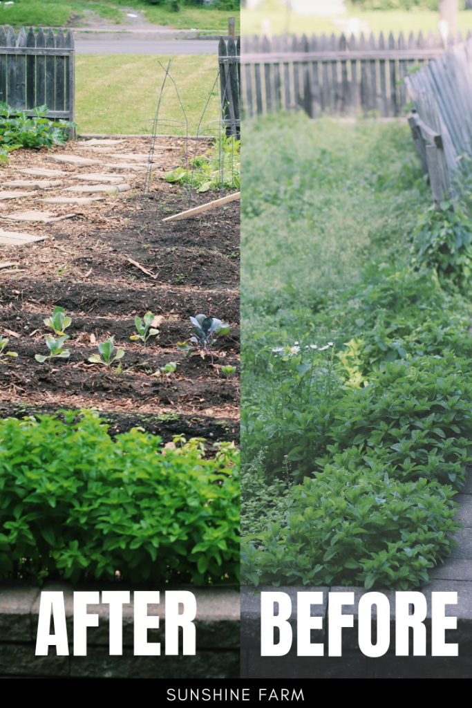 Community Garden Transformation Extreme Garden Makeover PIN