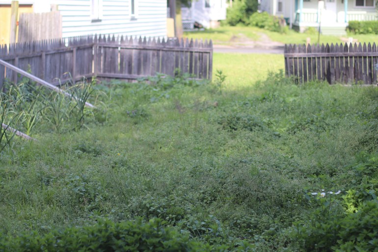 Community garden transformation before