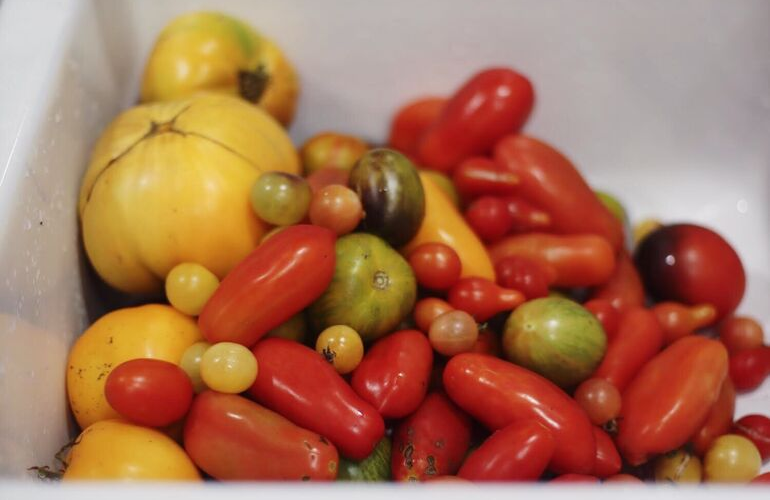 Tomato Paste Recipe for Canning with Homegrown Tomatoes