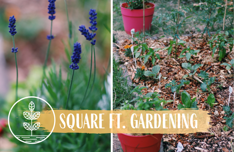 square foot gardening method complete guide