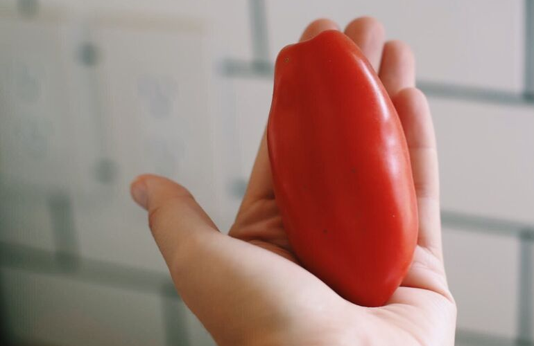 Tomato Paste Recipe for Canning with Homegrown Tomatoes