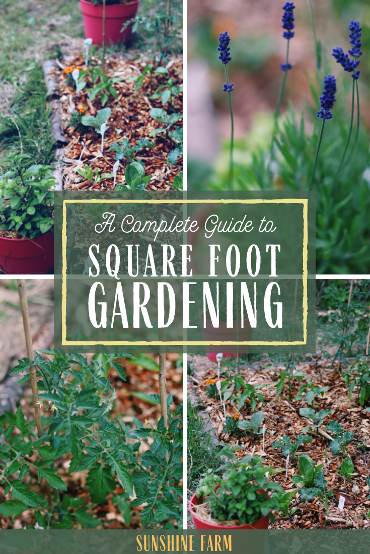complete guide to square foot gardening method