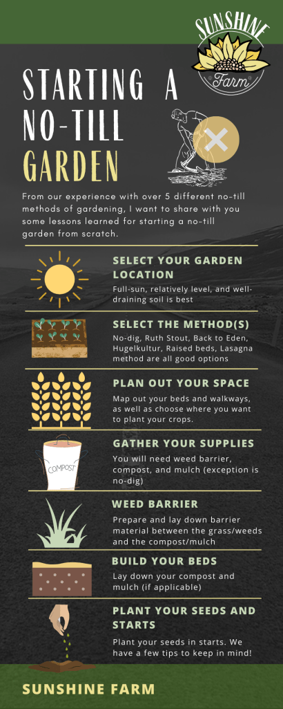 Starting a no-till garden step by step